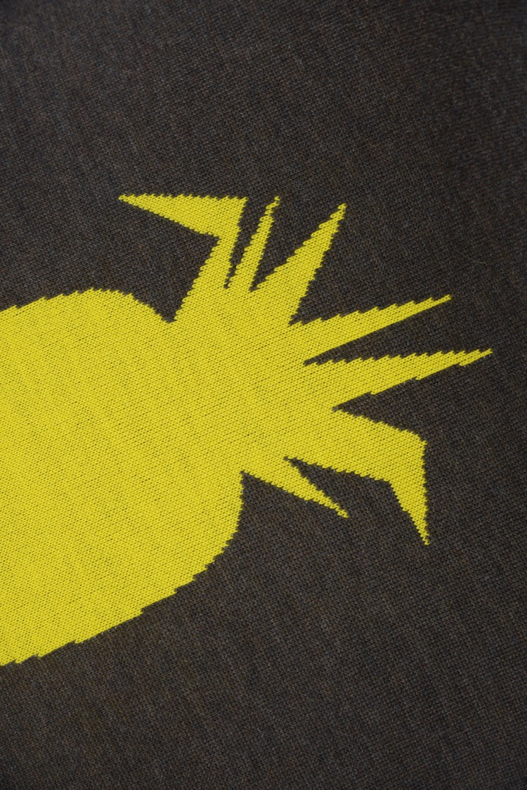 Kissenhülle 50x50cm Ananas, braun/gelb