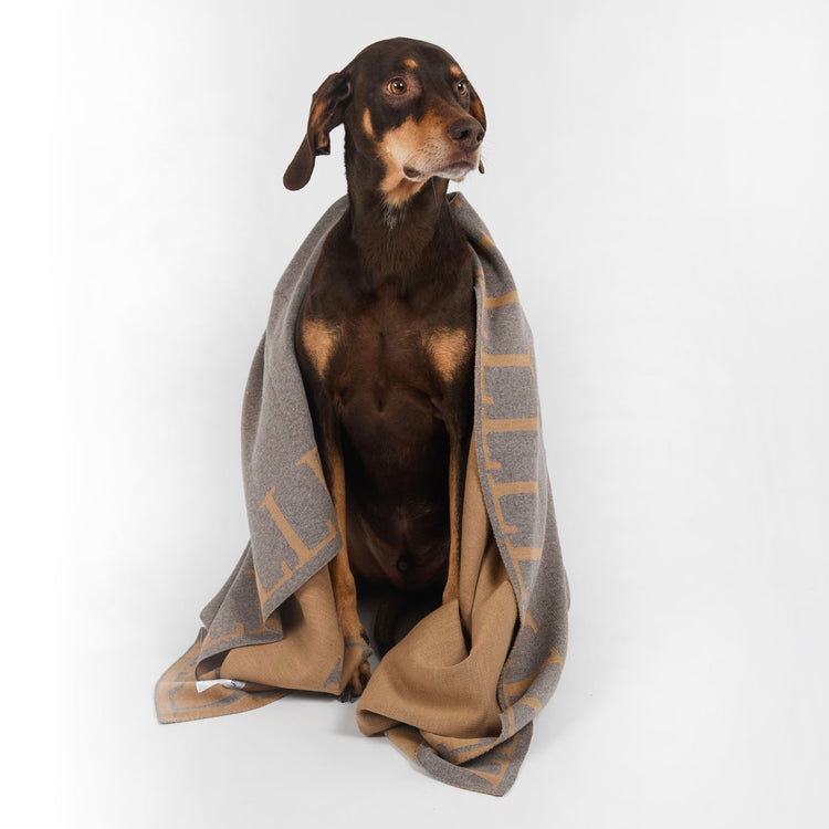 Blanket 140x180cm LLLL, beige / camel