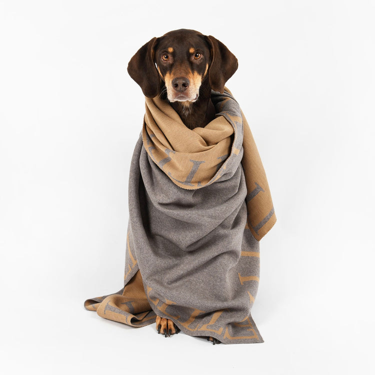 Blanket 140x180cm LLLL, beige / camel